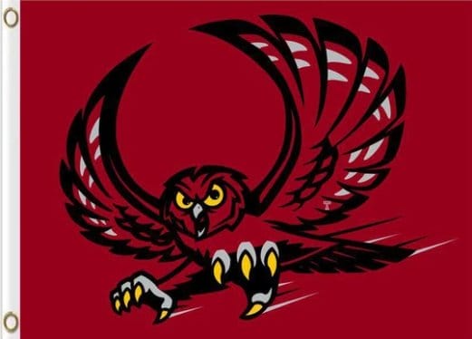 Temple Owls Club Sport Flag 3X5ft Banner USA Polyester with 2 Brass Grommets