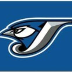 Toronto Blue Jays Baseball Team 3X5Ft Banner USA Polyester with Brass Grommets