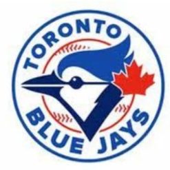 Toronto Blue Jays Sport White 3X5Ft Banner USA Polyester with Brass Grommets