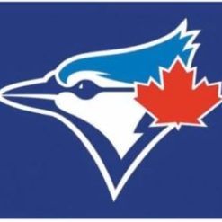 Toronto Blue Jays US Flag Blue 3X5Ft Banner USA Polyester with Brass Grommets