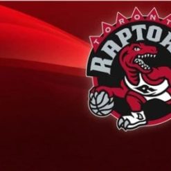 Toronto Raptors Flag 3X5Ft Polyester Banner USA Digital Print