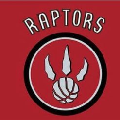 Toronto Raptors Red Flag 3X5Ft Polyester Banner USA Digital Print