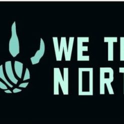 Toronto Raptors Team US Sport Flag 3X5Ft Polyester Banner USA Digital Print