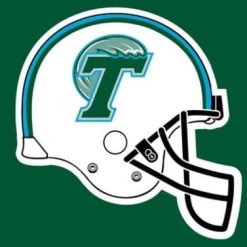 Tulane Green Wave Helmet Flag 3X5ft Banner Polyester with 2 Brass Grommets