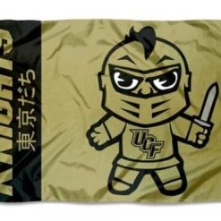 UCF Knights Yellow Club Flag 3X5ft Banner USA Polyester with 2 Brass Grommets