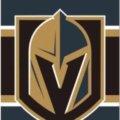 Vegas Golden Knights Vertical Flag 3X5Ft Polyester Digital Print Banner USA