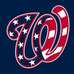 Washington Nationals American Flag 3X5Ft Banner USA Polyester with Brass Grommets