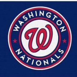 Washington Nationals Custom Flag 3X5Ft Banner USA Polyester with Brass Grommets