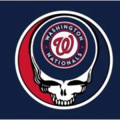 Washington Nationals Dead Skull Flag 3X5Ft Banner USA Polyester with Brass Grommets
