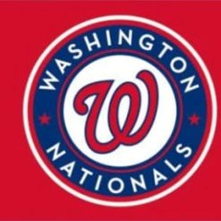 Washington Nationals Red Flag 3X5Ft Banner USA Polyester with Brass Grommets
