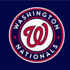 Washington Nationals US Blue Flag 3X5Ft Banner USA Polyester with Brass Grommets