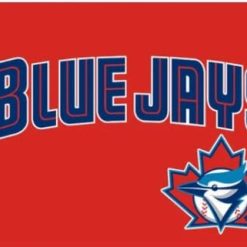 oronto Blue Jays Logo Flag 3X5Ft Banner USA Polyester with Brass Grommets