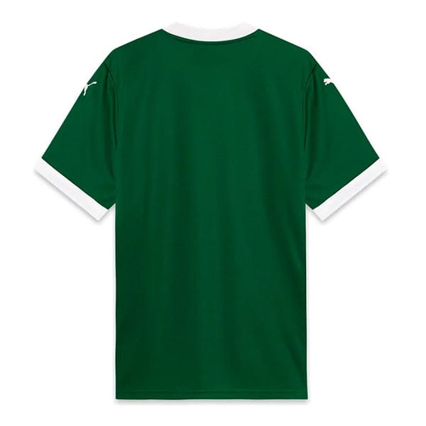 Palmeiras Home 2025-26 Jersey – Green