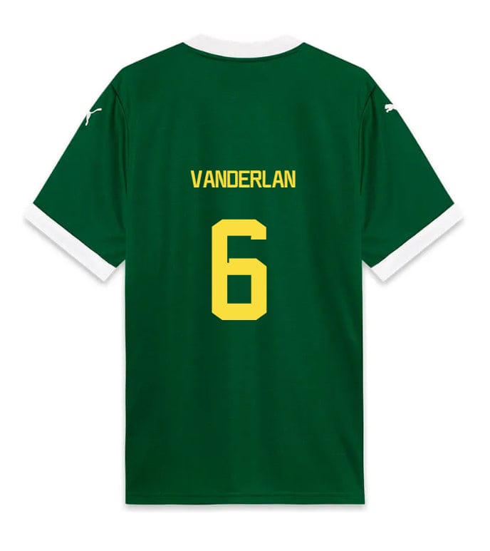 Palmeiras VANDERLAN 6 Home 2025-26 Jersey – Green