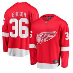Detroit Red Wings #36 John Gibson Red Home Stitched Hockey Jersey by Hockey David