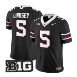 Drake Lindsey Jersey #5 Minnesota Golden Gophers 2026 Stitched by My Store NCAA Football Jerseys