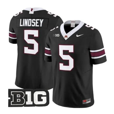 Drake Lindsey Jersey #5 Minnesota Golden Gophers 2026 Stitched by My Store NCAA Football Jerseys