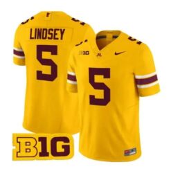 Drake Lindsey Jersey #5 Minnesota Golden Gophers 2026 Stitched by My Store NCAA Football Jerseys
