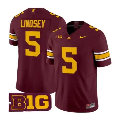 Drake Lindsey Jersey #5 Minnesota Golden Gophers 2026 Stitched by My Store NCAA Football Jerseys