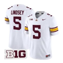 Drake Lindsey Jersey #5 Minnesota Golden Gophers 2026 Stitched by My Store NCAA Football Jerseys